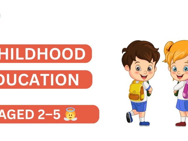 What is the Primary Level of Education?